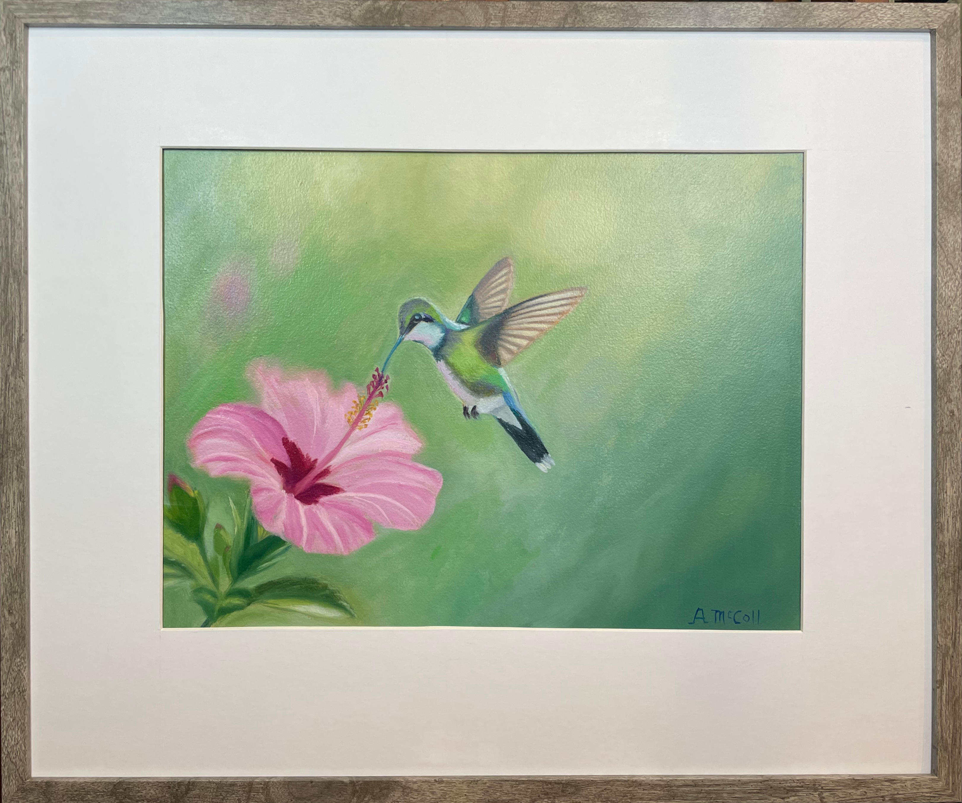 Hummingbird and Hibiscus